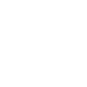 Realstone logo